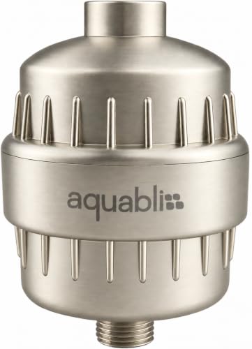 Aquabliss SF100 Daily Revitalize Shower