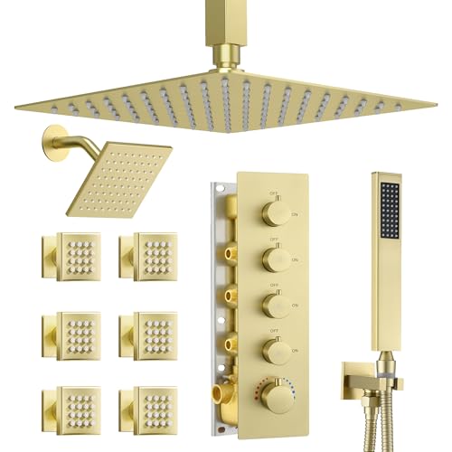 Dasan Thermostatic Dual Shower Head