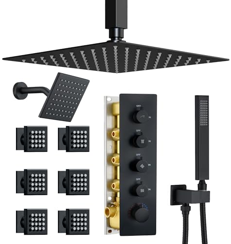 Dasan Thermostatic Dual Shower Head
