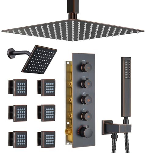 Dasan Thermostatic Dual Shower Head