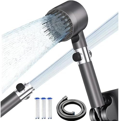 Filtered handheld shower spray modes