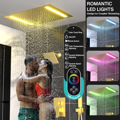 ENGA Dual Rain LED Shower view 2