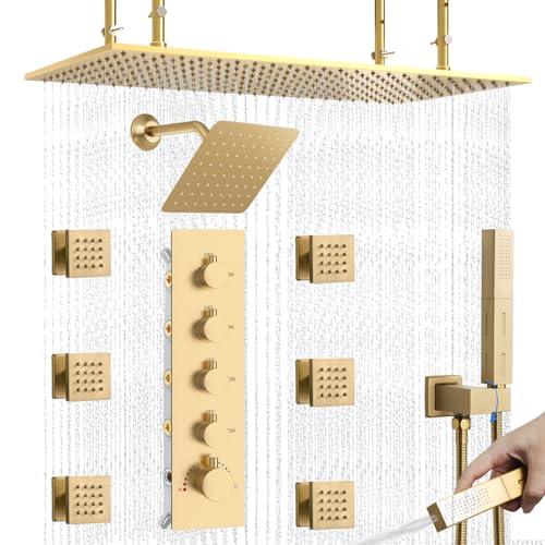 NPYSVSSS Dual Shower Heads System
