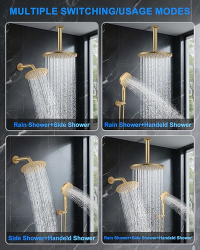Shower System with Pressure Balance view 2