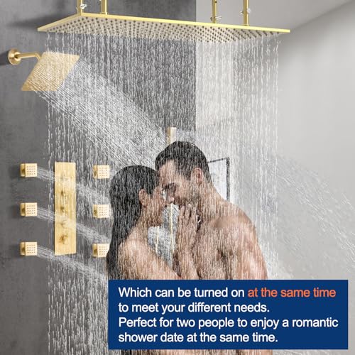 NPYSVSSS Dual Shower Heads System view 4