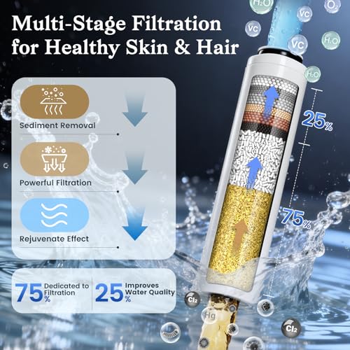 Filtered Shower Head with Handheld view 4