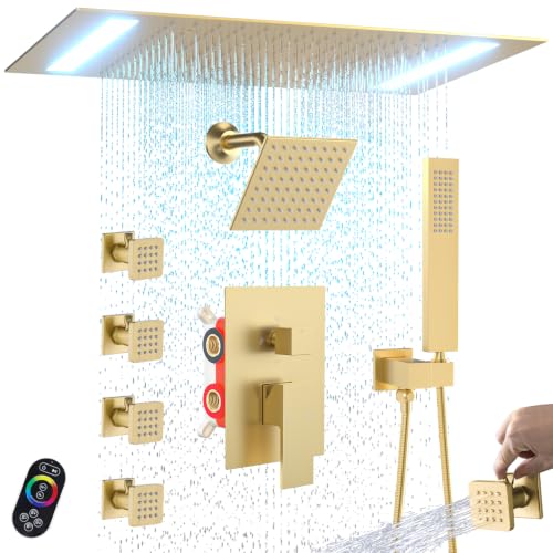 ENGA Dual Rain LED Shower