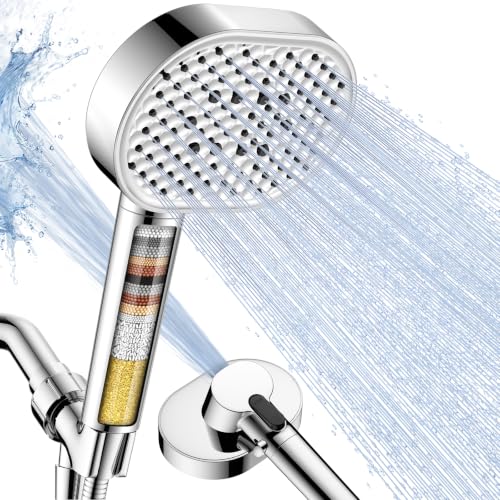 Filtered Shower Head with Handheld