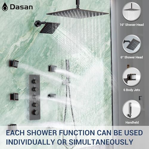 Dasan Thermostatic Dual Shower Head view 2