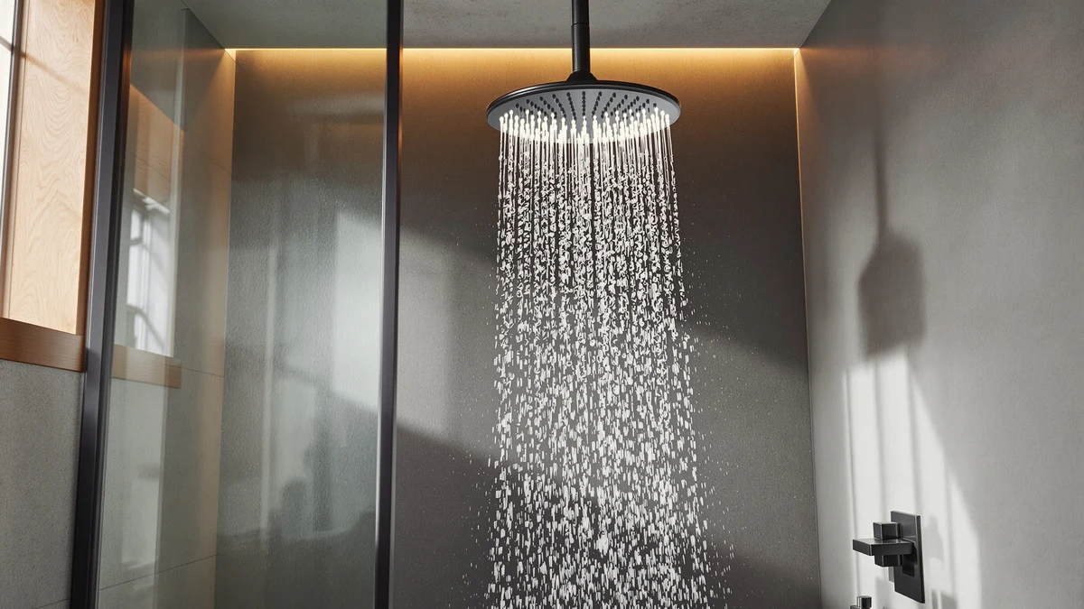 Best Delta Shower Heads comparison